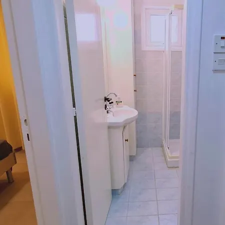 Camelia * 라르나카