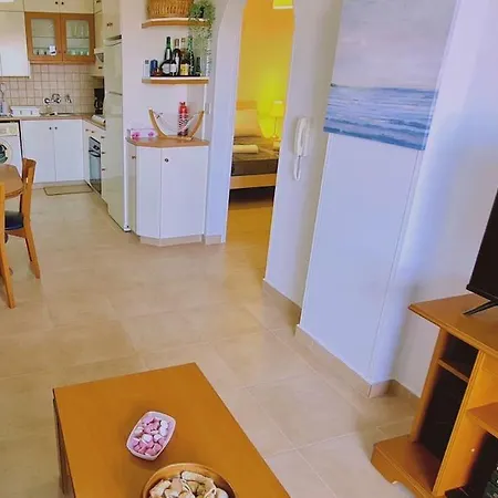 Camelia 라르나카