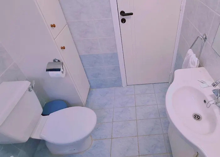 Camelia Apartament *